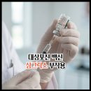 싱그릭스 부작용 코로나 백신보다 독할까? 후기로 본 실전 가이드