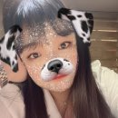 헤어애드 | [네이버 애드포스트] INFP 내향인의 애드포스트 첫달 수익 공개 ❤️‍🔥 / 현실적인 후기 🔥