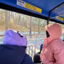 자유랜드 | 광주 패밀리랜드 자유이용권·할인·카드 총정리 | 초등학생 아이들과 즐긴 놀이기구 FLEX 후기