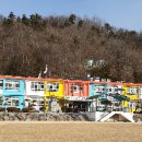 묘산초등학교 뉴스메이커