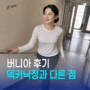 체온정 | 버니아 후기, 덱카닉정과 직접 비교해 보니 달랐던 체감