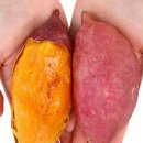 지연2농장 이미지