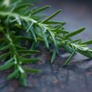 로즈마리 정원 이미지