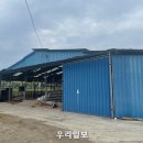 보성축사 우리일보