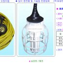 전등선,오징어등,전기 연장선 30M,50M 단가표 이미지