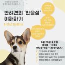 안녕하개 이미지