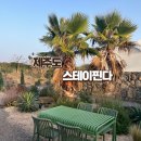 제주난방박사 | 제주 한경면 감성숙소 | 스테이핀다 내돈내산 솔직후기 🏡🌿
