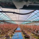 추부면1178 이미지