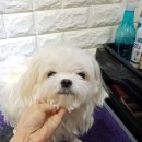 문정미용타운 이미지