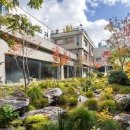 헤라코리아 이미지