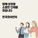 한국호야전자주식회사