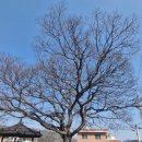 상구3리 이미지