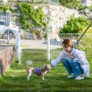 들안길애견펜션 이미지