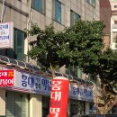 홍대맛집 조폭떡볶이 본점 분식 세트 먹방 솔직후기