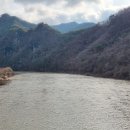 월곡초교 이미지