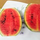 남수농장 이미지