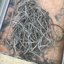 대창전문정비 | 전주모헤어교체 서신동 대우대창아파트 시공 후기