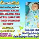 2019-주115 이미지