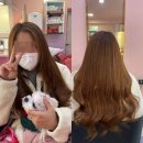 프린세스붙임머리