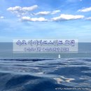 속초아이파크스위트호텔 실외수영장 | 속초 여행 인피니티풀 호텔 속초아이파크스위트호텔 앤 리조트 수영장 가격 입장권 운영 시간 정보