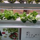 세바환경 이미지