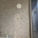 트리밍하임 이미지