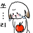 페로하임 이미지