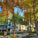 한다리어린이공원 이미지