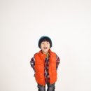 파니파니 Daum카페