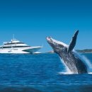 마이바이크 이미지