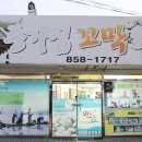 종가집밥상 | 벌교 꼬막정식 거리 맛집 : 종가집꼬막회관 19첩 밥상 후기 (+주차, 메뉴판)