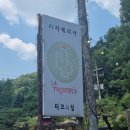 젠틀로스터스 | 2026년 6월 5주차 28~4일