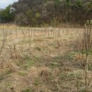 골말농장 이미지