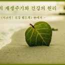 세포의 재생주기와 건강의 원리 이미지