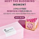 스타벅스 부산유엔공원점 이미지