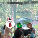 아르스노바뮤직케어링