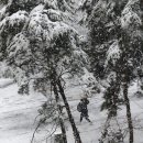 대구명곡초등학교 이미지