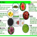 로즈비 점핑 다이어트 센터
