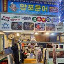 양포문어 이미지