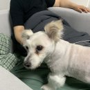 위닝푸드 이미지