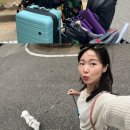 사또퓨전포차 | 여수 애견동반 여름휴가 3박4일 일정/경비