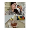 네잎클로버의 메아리 | 대전에서 찾은 네잎클로버, 카페 인커브 방문 솔직 후기