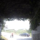 송천현대주유소 이미지