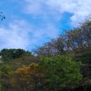 진해드림파크 목재문화체험장 산책 이미지