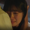 하루기억