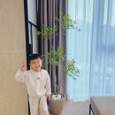 몽땅 포레스트 | 속리산 포레스트 아이들과 가볼만한곳추천 속리산 유스타운 솔직한 후기