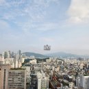 수팰리스 | 조선팰리스 콘스탄스 평일 디너 뷔페 내돈내산 솔직 후기 (런치와 디너 경험 비교)