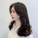 씨제이지 이미지