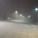 대한건강원 - 함안군 가야로 123-1 | 대한건강원