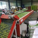 금오영농조합법인 이미지